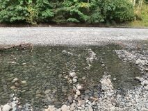 Low flows in the Chemainus River. Photo by Melissa Evans.