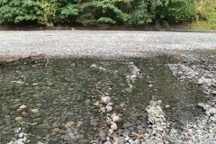 Low flows in the Chemainus River. Photo by Melissa Evans.