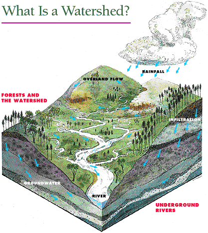 Introduction to Watersheds - Cowichan Watershed Board