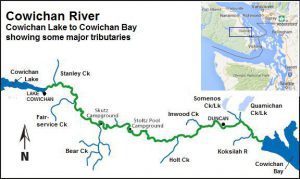 CowichanRiver.jpg