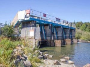 Cowichan Lake Weir