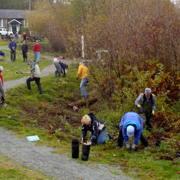 CLRSS riparian planting CLRSS riparian planting